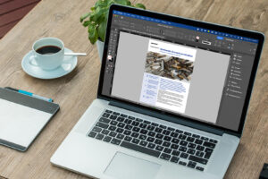 InDesign 2025 running on a MacBook